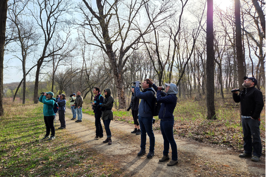 People birdwatching while standing on a path in a lightly forested area