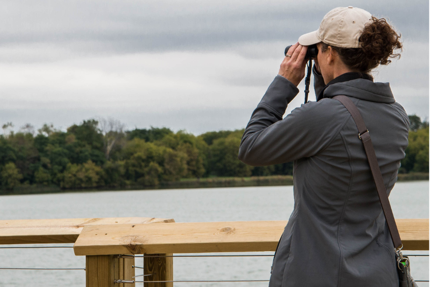 Birdwatcher Kim Kreitinger looking through binoculars looking over the water while standing on the Patrick Marsh Boardwalk