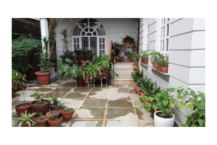 Paved back yard of a house with potted plants on the ground