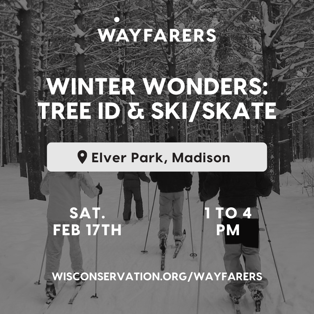 people cross country skiing with event information overlaying the image in white text