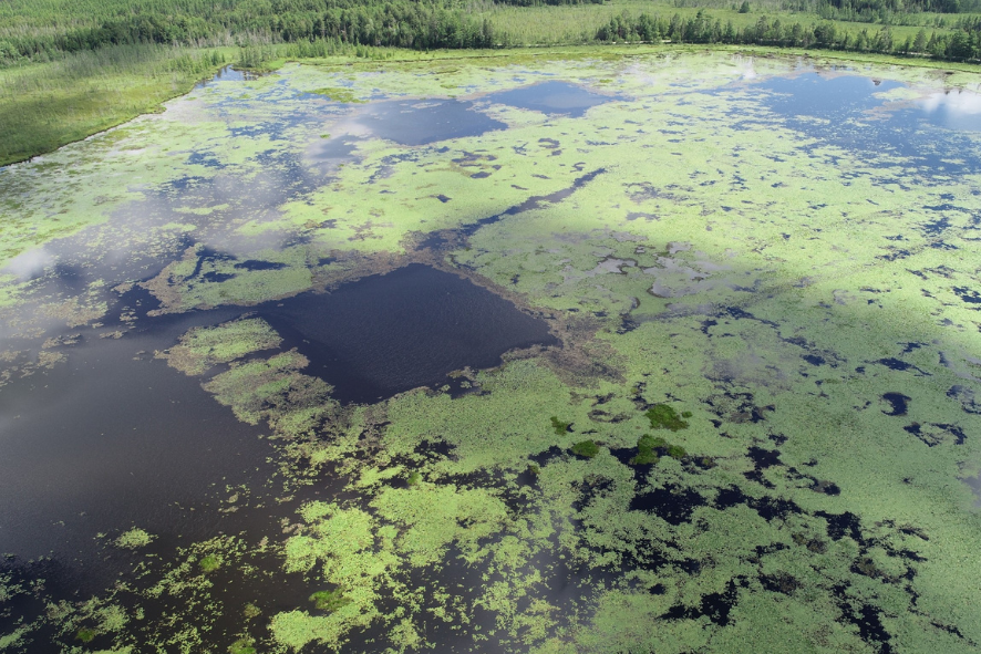 Aerial view of Spur Lake showing square test plots where vegetation has been removed