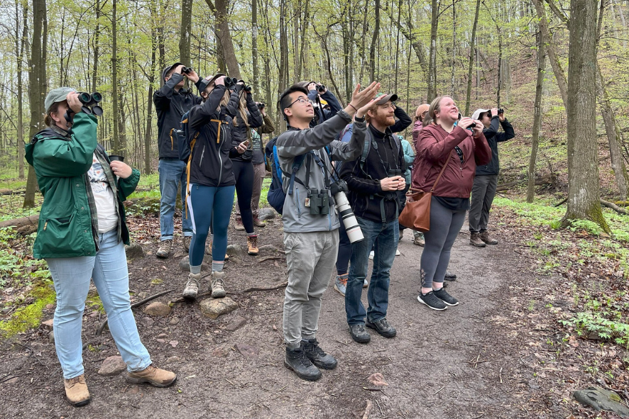 People birdwatching and pointing at birds while standing on a hiking trail in the woods