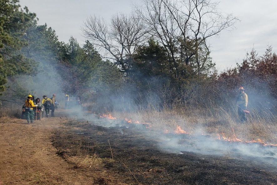 Workers burning a prairie area to encourage future growth