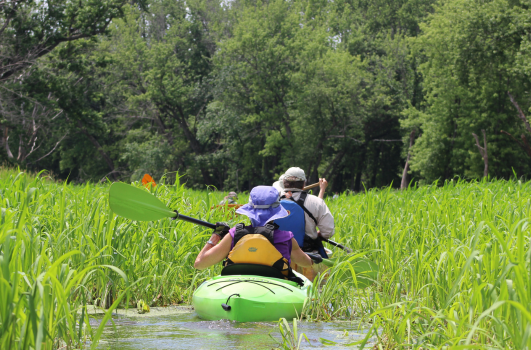 Mississippi River Paddle Field Trip: Herptile Conservation (2022) photo by Andrew Badje