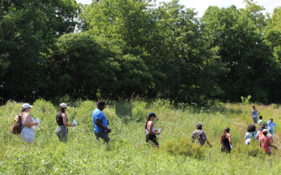 Welcoming the 2024 Diversity in Conservation Internship Cohort
